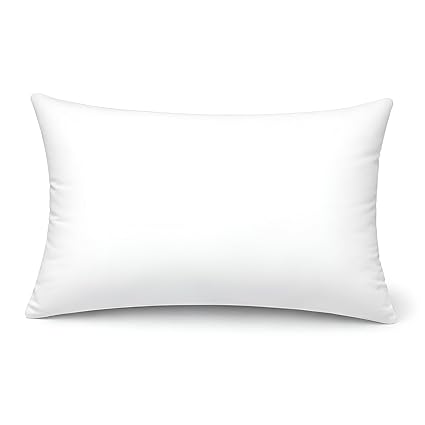 Microfiber Pillows (16 x 24)