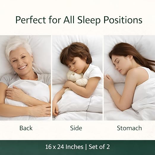 Microfiber Pillows (16 x 24)